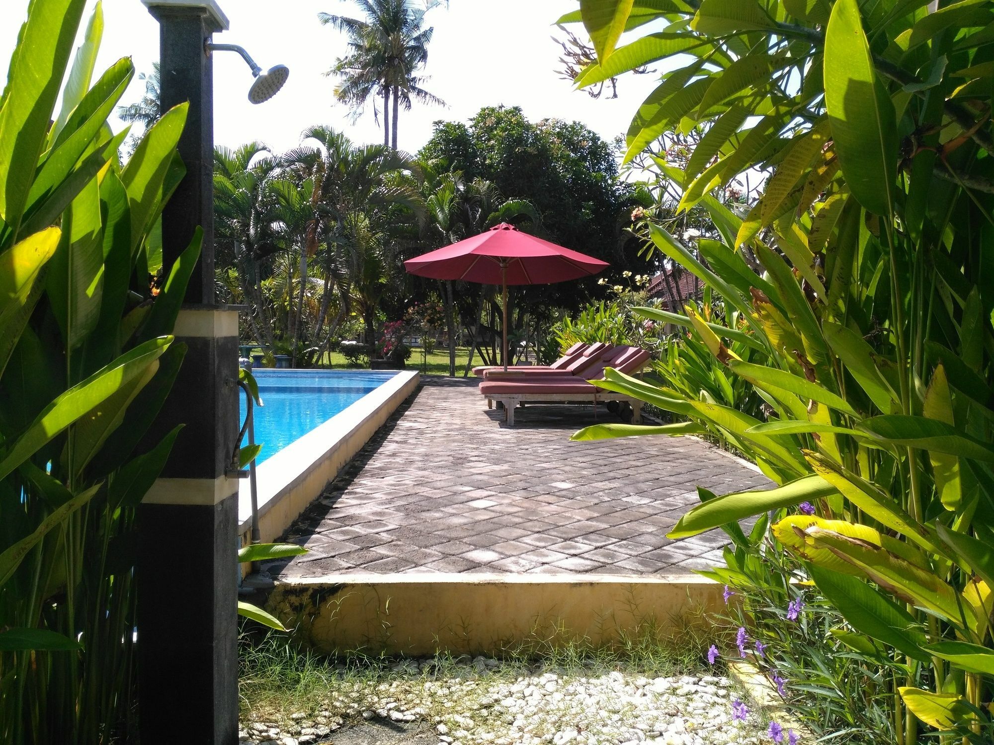 Mekar Jaya Bungalows Kuta  Bagian luar foto